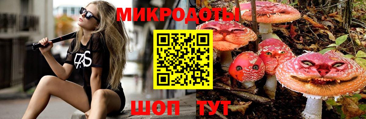 купить закладку  Галлюциногенные грибы прущие грибы  Вход с VPN  Галлюциногенные грибы Psilocybe  Новокуйбышевск 